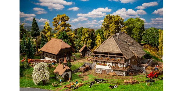 Faller 130677 Zwarte Woud Set Vogtsbauernhof H0