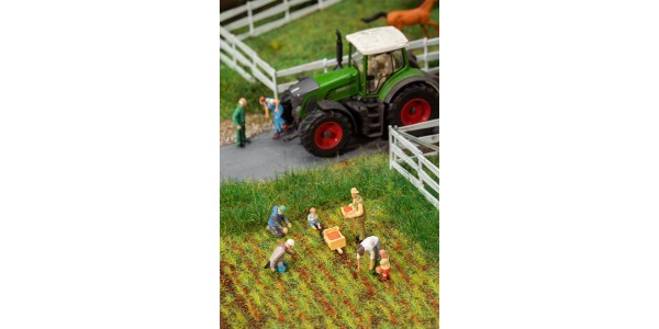 Faller 151659 Op Het Aardbeienveld H0