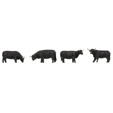 Faller 151957 Hooglanders Zwart (11/23) * H0