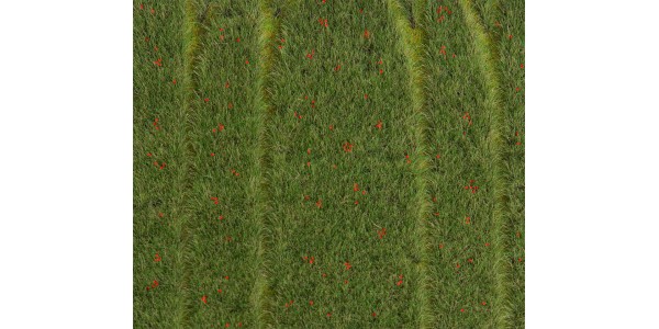 Faller 180458 Premium Landschaps-Segment, Korenveld Met Papavers H0, TT, N