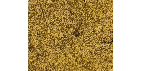 Faller 180466 Premium Landschaps-Segment, Graanweide H0, TT, N