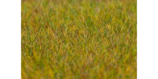 Faller 180484 Premium Strooimateriaal, Wei, Lichtgroen, 6 Mm, 30 G H0, TT, N