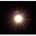 Faller 180653 5 Leds, Warm Wit H0, TT, N, Z