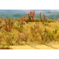 Faller 181252 48 Sierbomen H0, TT, N