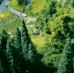 Faller 181252 48 Sierbomen H0, TT, N