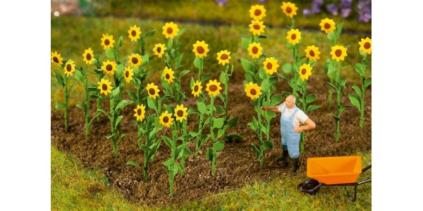 Faller 181256 16 Zonnebloemen H0