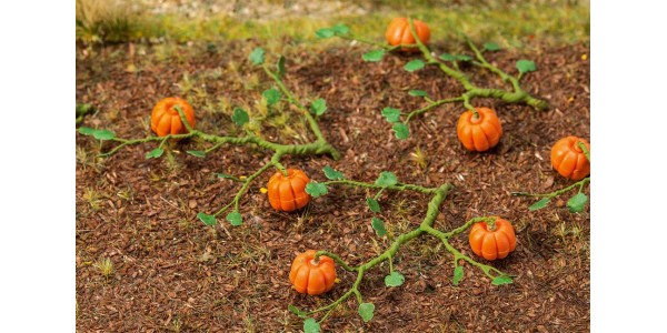 Faller 181258 6 Pompoenen H0