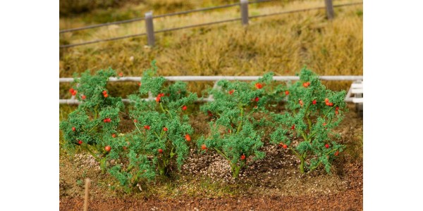 Faller 181259 18 Tomatenplanten H0