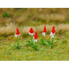 Faller 181267 32 Orchideeprimula H0