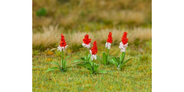 Faller 181267 32 Orchideeprimula H0