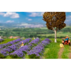 Faller 181279 Lavendelveld H0