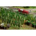 Faller 181280 Hopveld Met Stokken H0