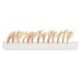 Faller 181287 Rietplanten 22 Stuks H0
