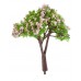 Faller 181504 1 Kersenboom H0, TT, N