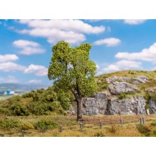 Faller 181703 Boom Gewone Acacia