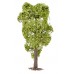 Faller 181703 Boom Gewone Acacia