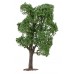 Faller 181704 Boom Echte Acacia