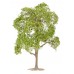 Faller 181801 Boom Linde En Elsbes