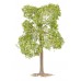 Faller 181804 Boom Perenbomen 2 Stuks